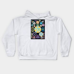 Art of Diatom algae (from Ernst Haeckel) (B305/0177) Kids Hoodie